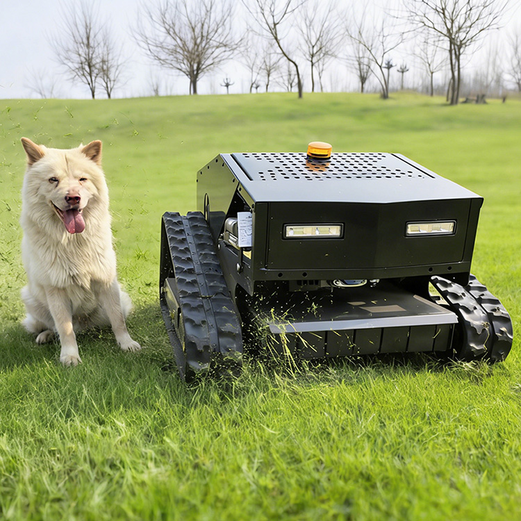 बिक्री के लिए लॉन मोवर