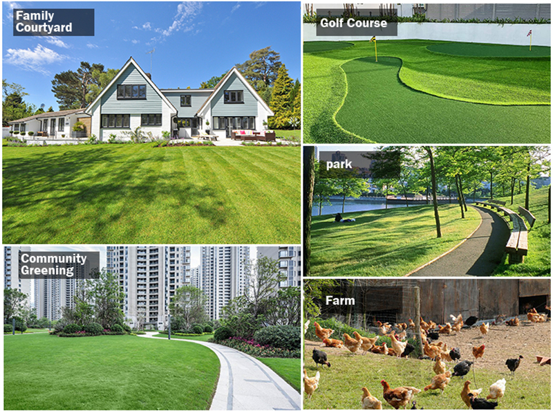 स्व-चालित लॉन घास काटने की मशीन.jpg