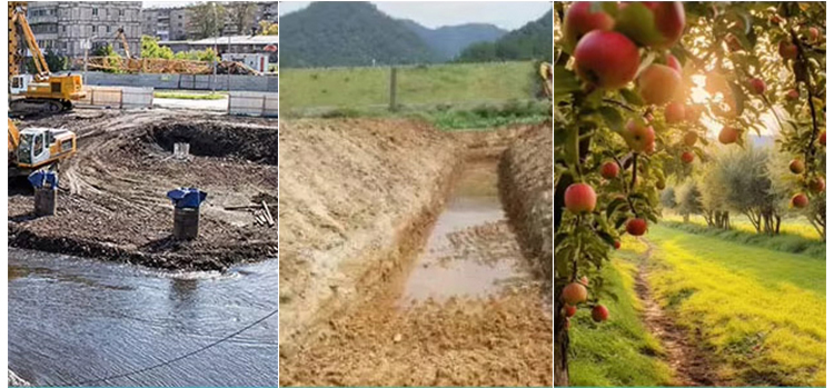 स्किड स्टीयर लोडर नीलामी स्किड स्टीयर लोडर नीलामी