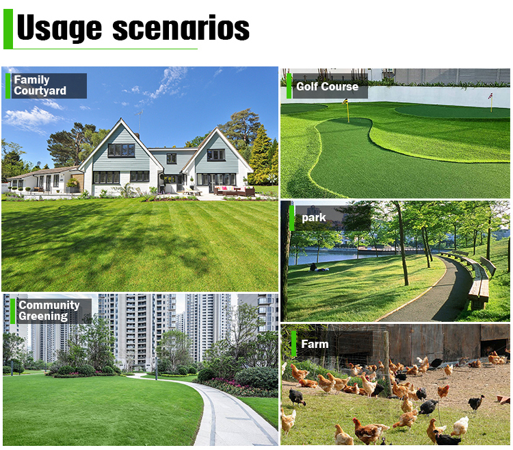 विवरण पृष्ठ 1_12.jpg